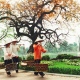 Hanoi-city-tour