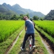 Biking through rice field in tour Mai Chau 2 days