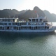 over view Halong bay sapphire cruise